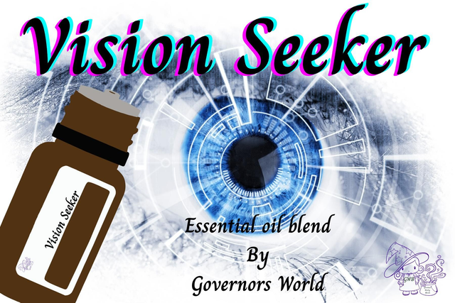 Vision Seeker