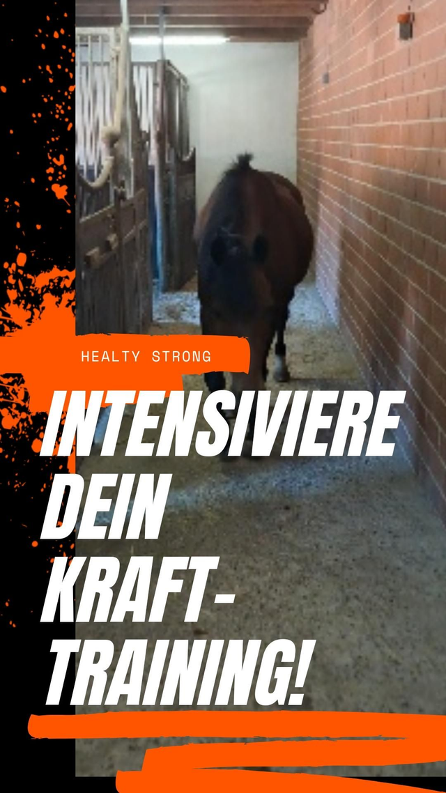 Healty Strong 2 Eimer a 7 kg Plus 1 kg gratis 