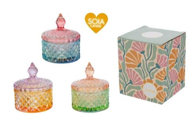 Le Stelle - Candela Soia Scatola Vetro Colorato Colori Assortiti 