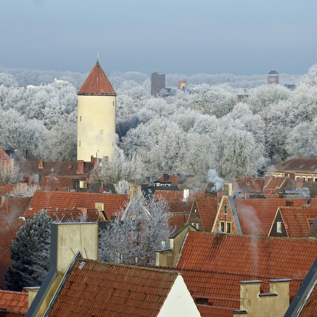 Buddenturm im Raureif
