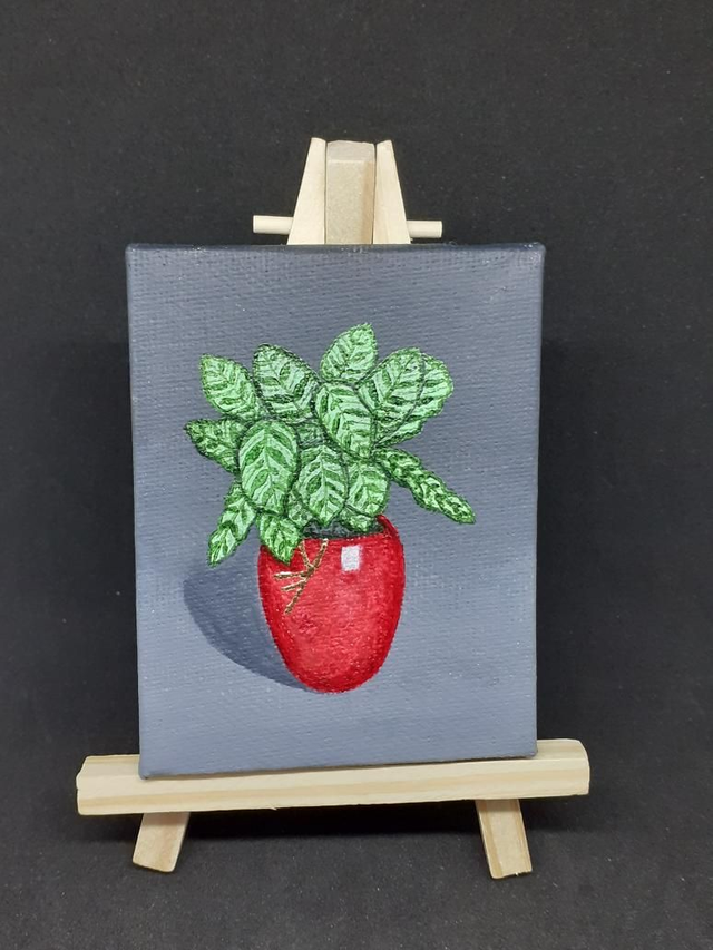 Calathea in red kintsugi pot