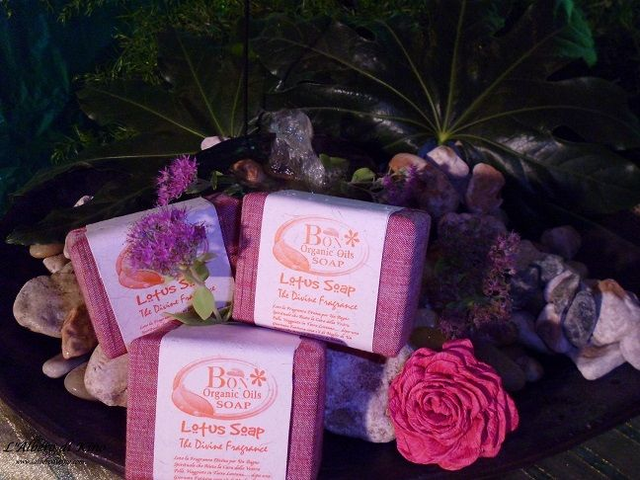 Lotus  Soap - Fior di Loto 
