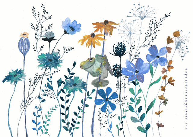 Grenouille et fleurs