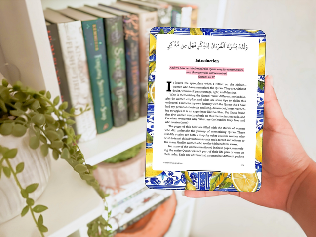 Skin pour liseuse - Santorin