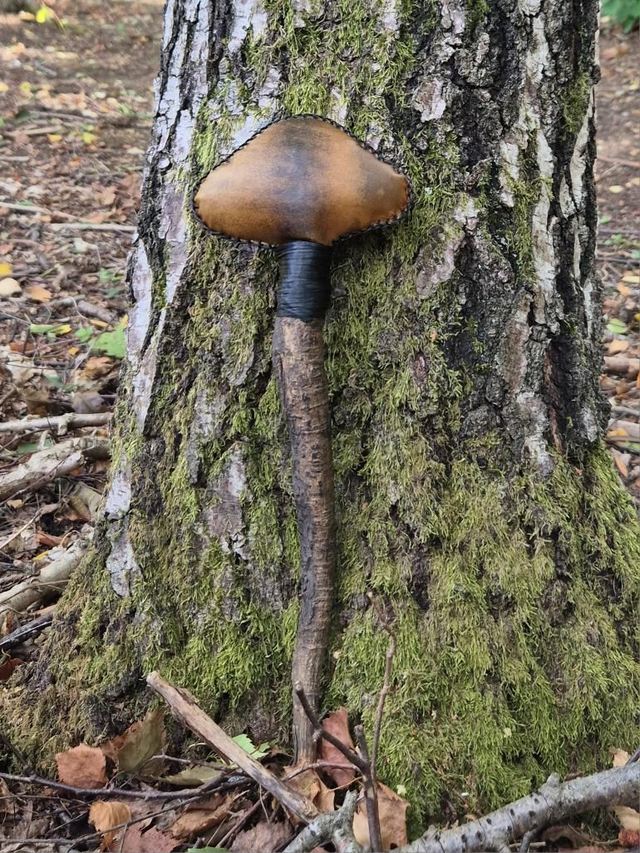 Horse Hide and Tree Root Shamanic Rattle 