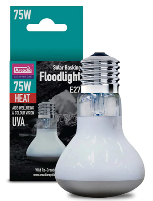 Arcadia Basking Solar Floodlight