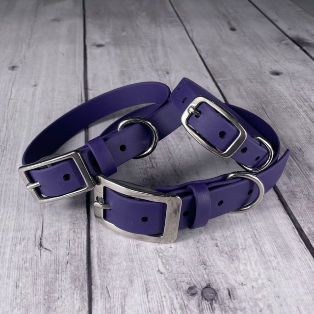 Violet Waterproof BioThane® Collar