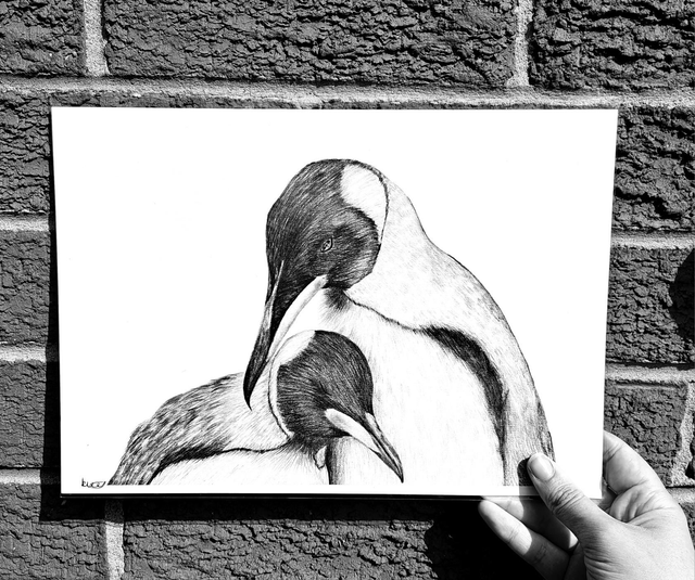 Penguins A4 Print