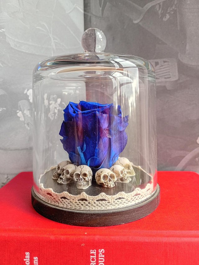 D05 Rose bleu sur crâne