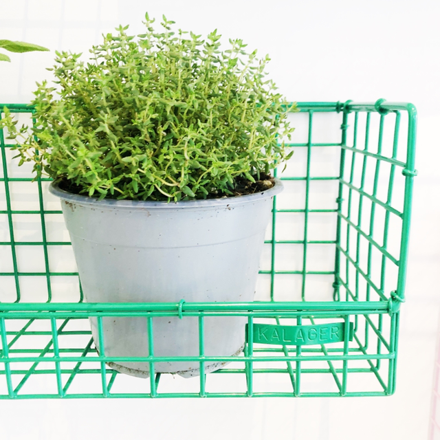 Wire shelf large, signal green 