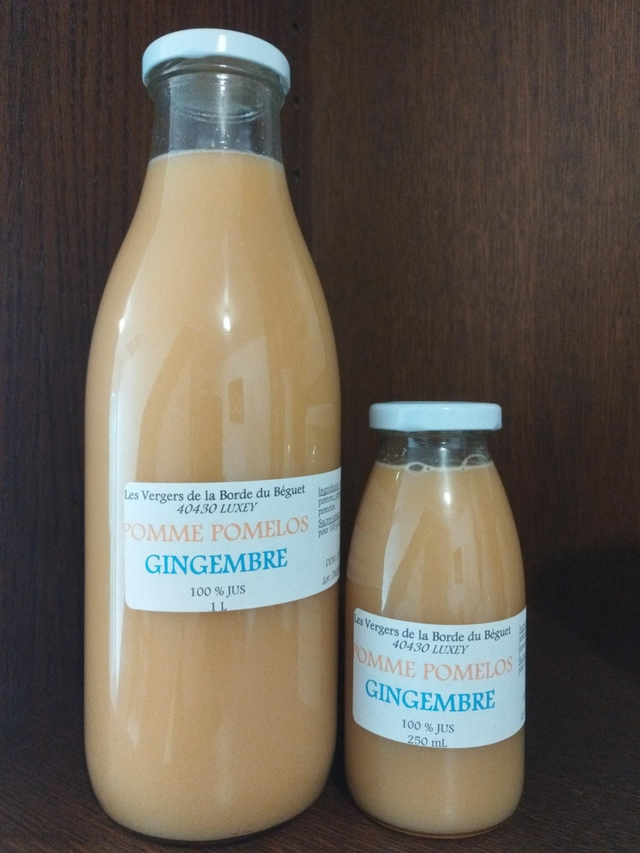 POMME GINGEMBRE POMELOS (100 % JUS)