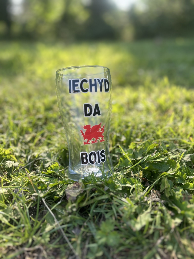 Gwydr Peint Iechyd Da Bois