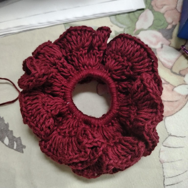 2025 CHOUCHOU CHEVEUX 