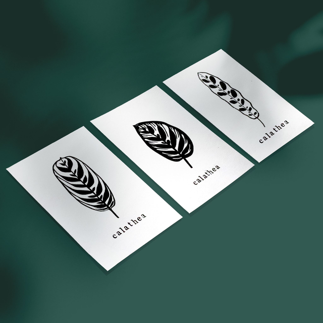 Linogravure A6 feuille de Calathea (3 modèles)