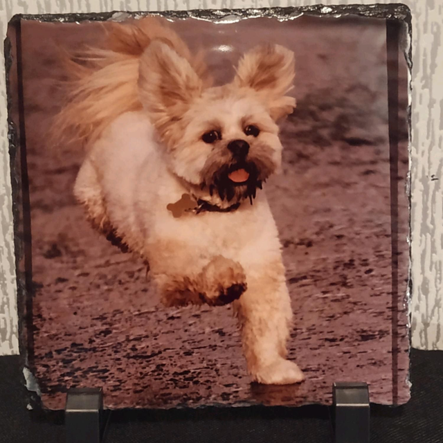 photo slate Glossy  15cm by 15cm