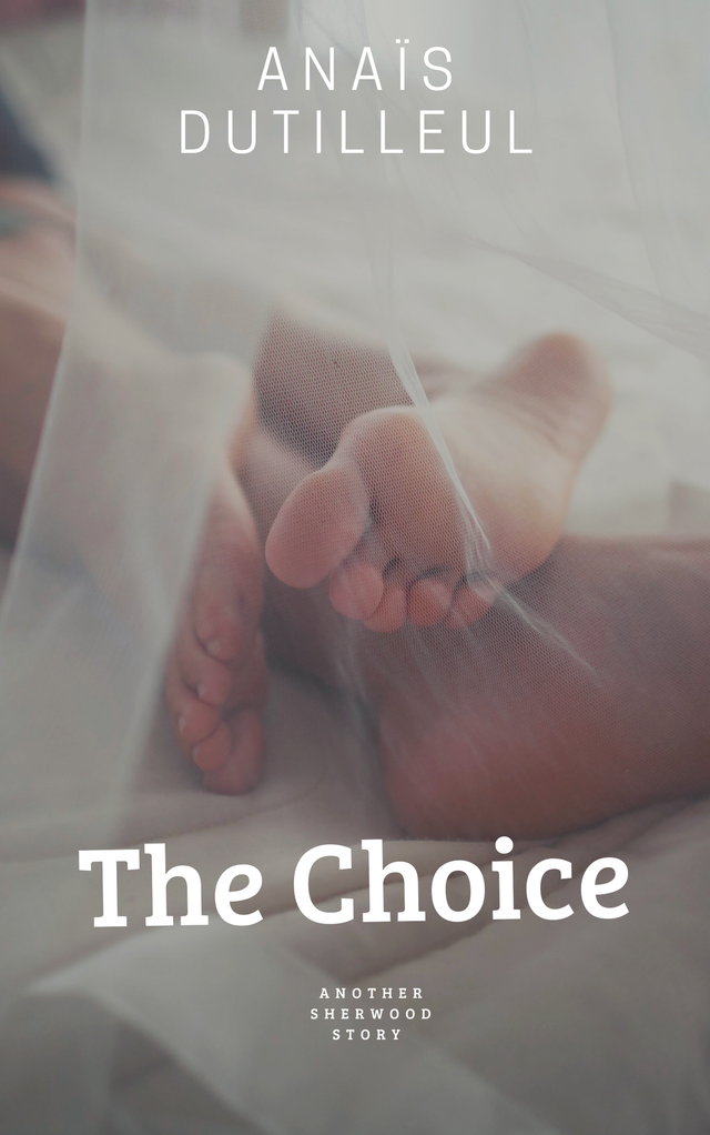 Another Sherwood Story : The Choice