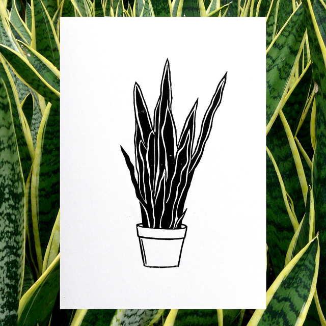 Linogravure A5 Sansevieria