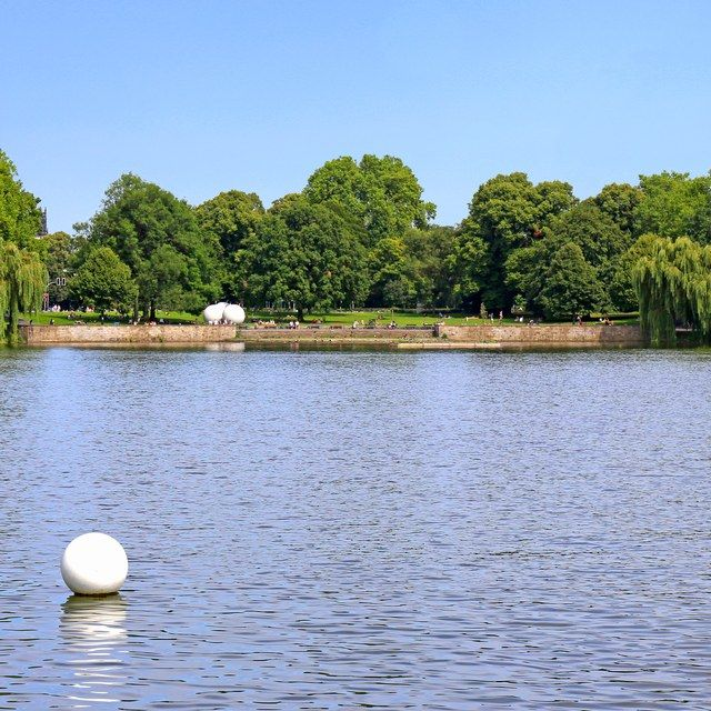 Aaseekugel auf dem See