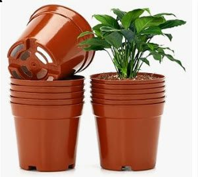 Pots - 1 Litre 5 x pots Multibuy