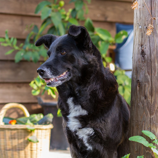 Portretshoot op locatie