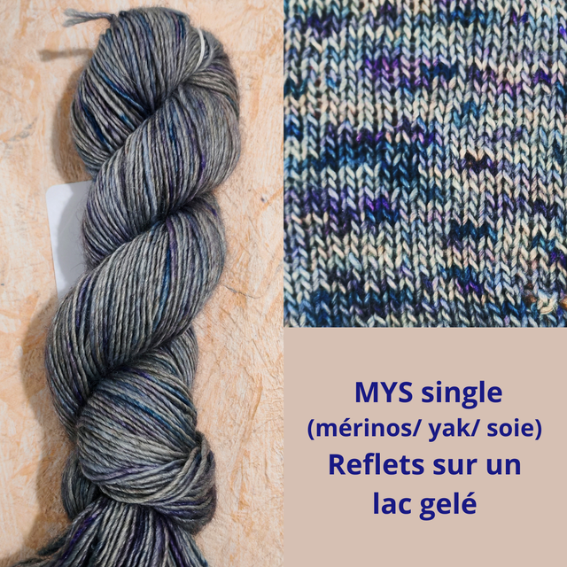 MYS single Reflets sur un lac gelé