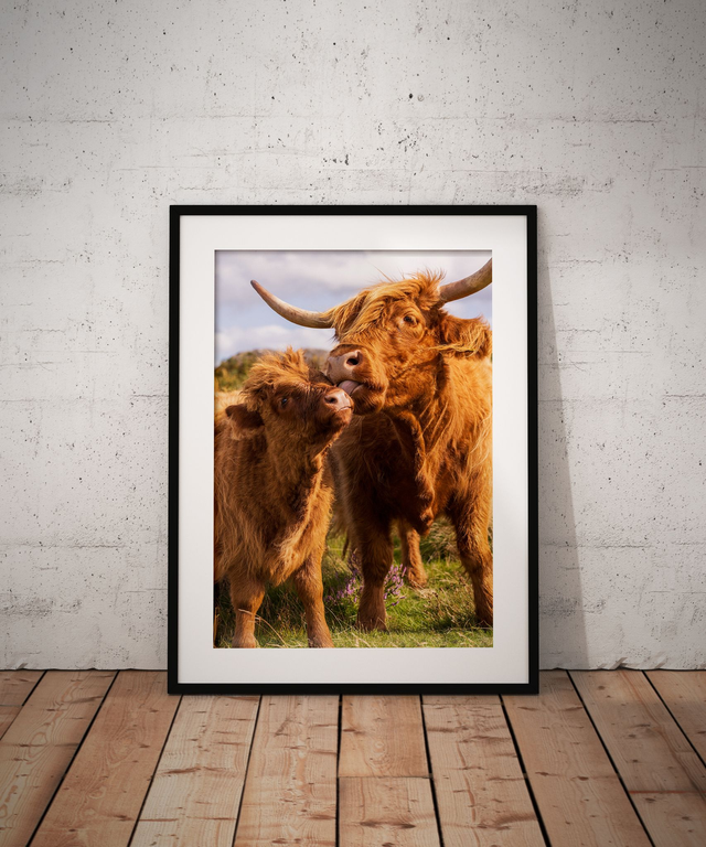 Mother Knows Best, Peak District