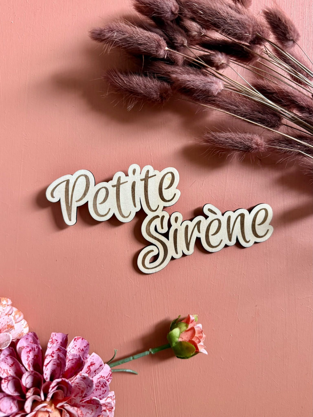 Texte Petite Sirène