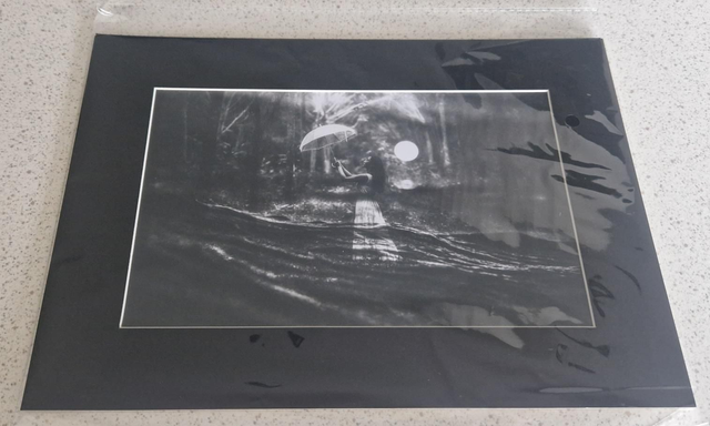 Sun and Rain Montage A4 Mounted Analogue Print