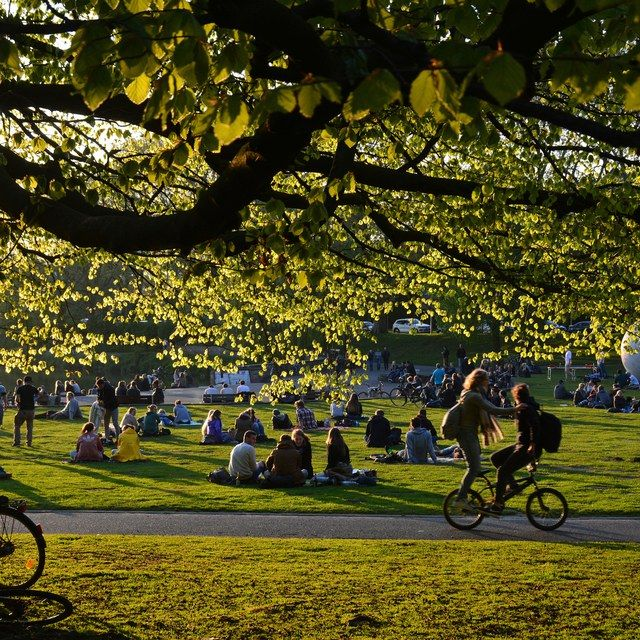 Sommer auf der Aaseewiese