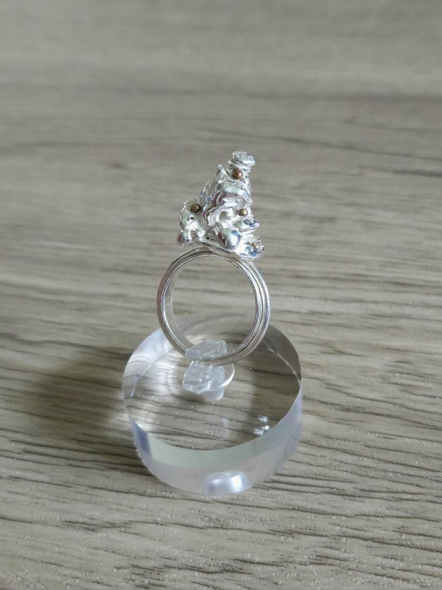 &#039;Sorting hat&#039; Water Cast ring