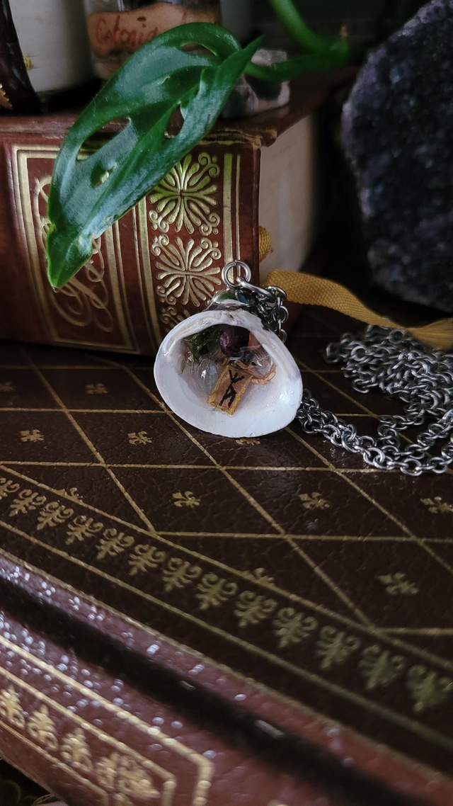 Coquillage : Protection