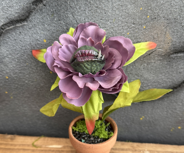 🌸 Specimen: The Petalled Maw