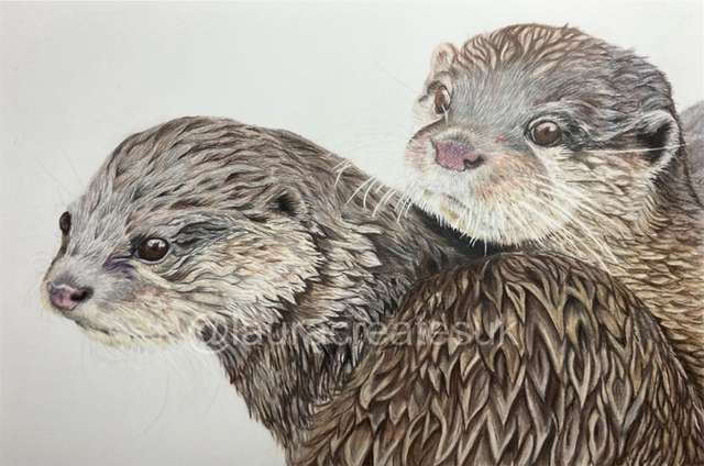Otters Fine Art Print