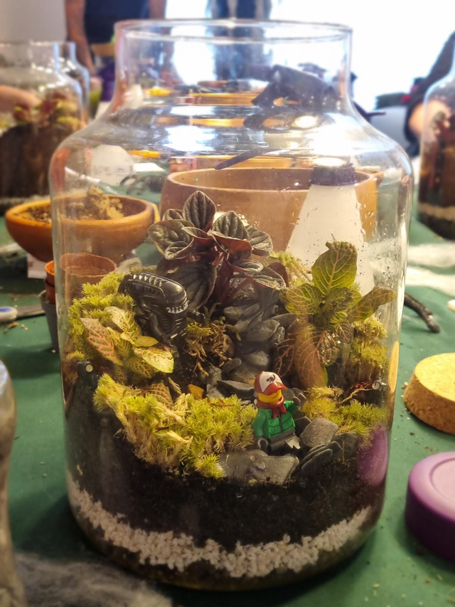 Terrarium Workshop at the goodsyard 30th Nov