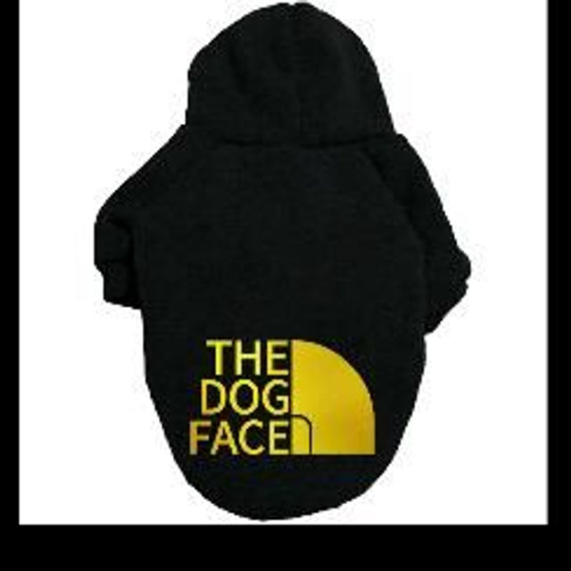 Black and Gold Dogs face 