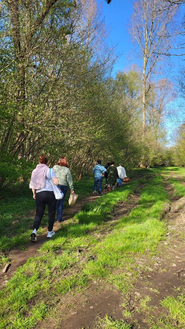 Balade découverte de plantes sauvages 04/10/2026