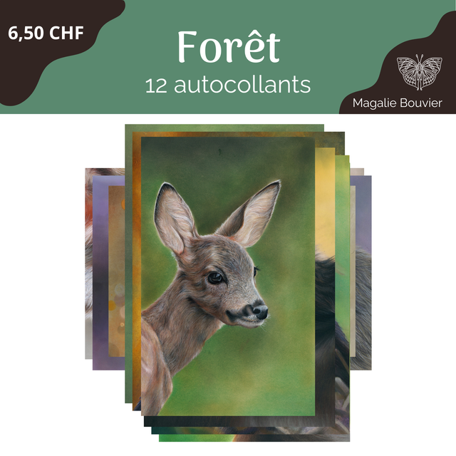 Pack stickers forêt - 12 pièces