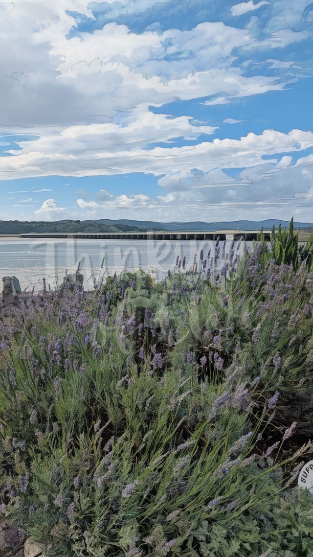 Arnside Lavender and Viaduct - Tealight Holder Reclaimed Wood