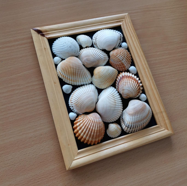 Cadre organique DUNES