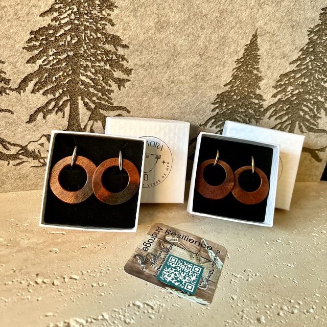 Créoles en Bois de Narra et Acier Inoxydable