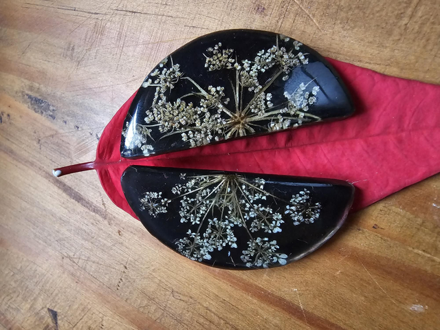 Brincos Cenoura selvagem 