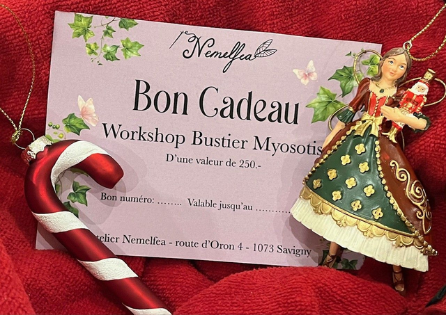 Bon cadeau Workshop Bustier