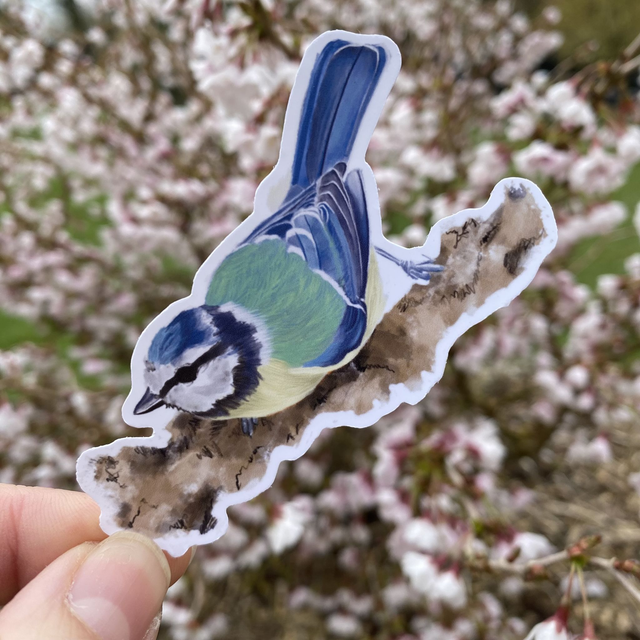 Sticker &quot;Mésange&quot; II