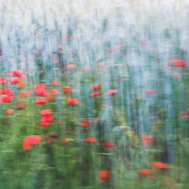 Tirage photo "25 mai 2022"