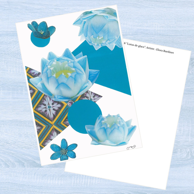 Lotus de glace - Carte postale