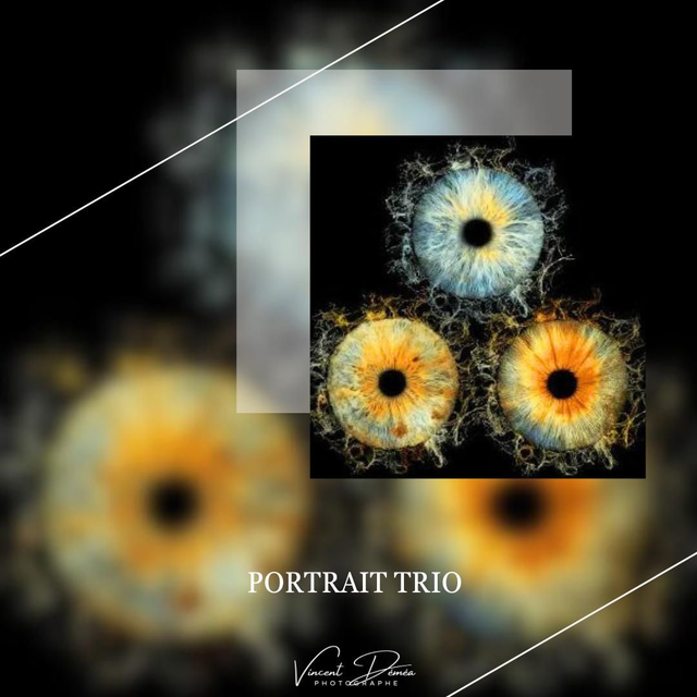 Séance Portrait Iris Trio 30*45cm 