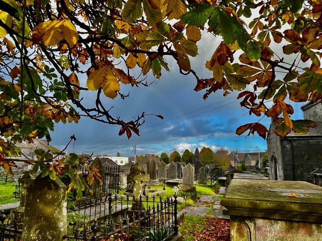Sponsor the Cleaning of a Historic Grave