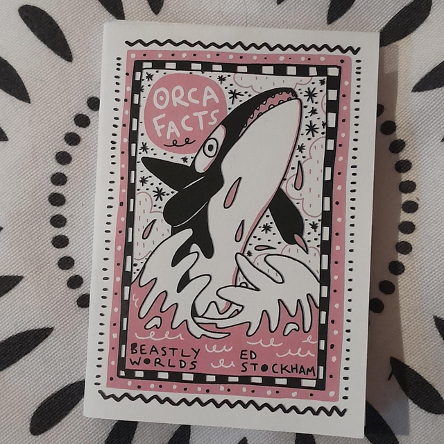 orca facts
