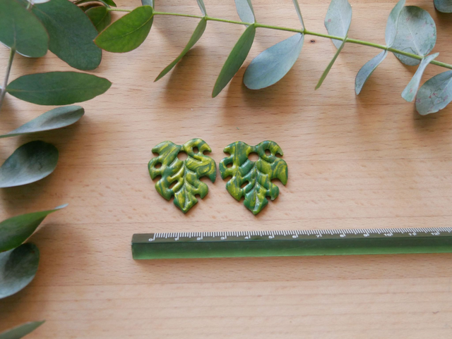 Monstera vert nuancé