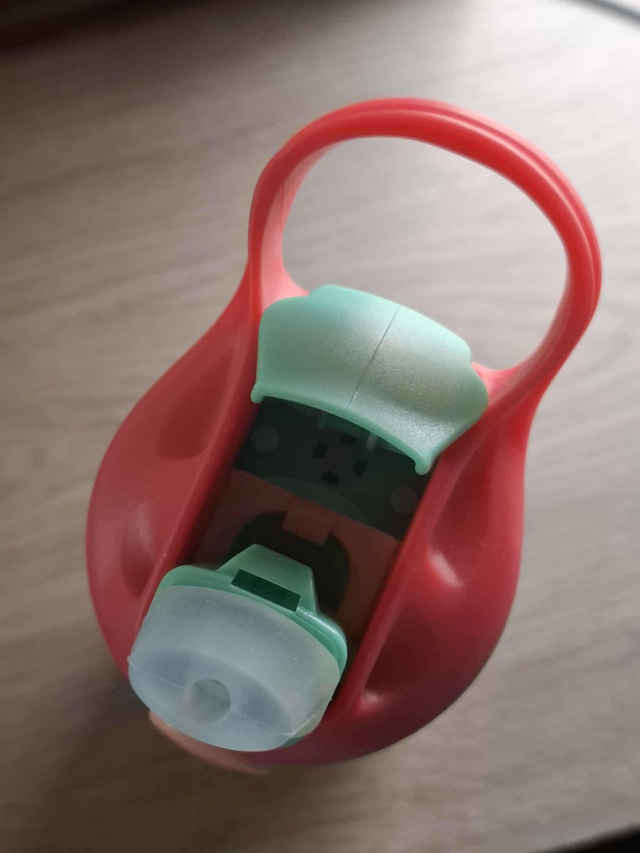 Gourde 350 ml samoyède pirate